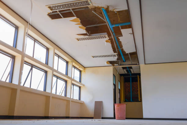 Best Water damage contractors near me  in Mante, CA