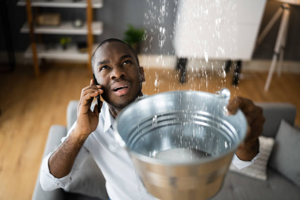 Best Water damage restoration near me  in Mante, CA