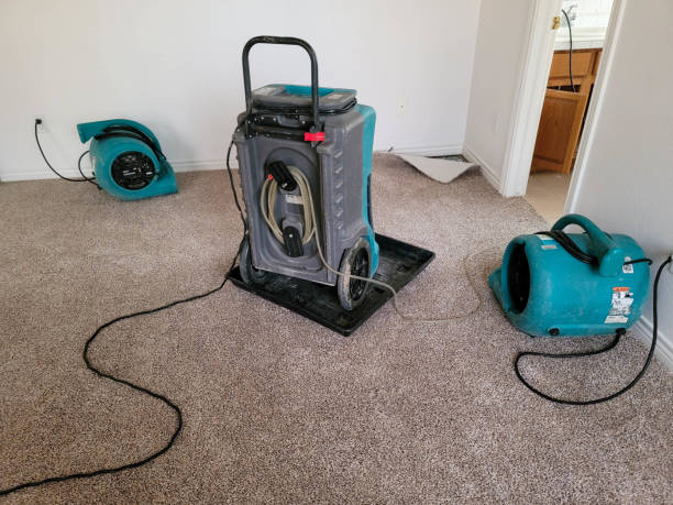 Best Local water damage restoration  in Mante, CA