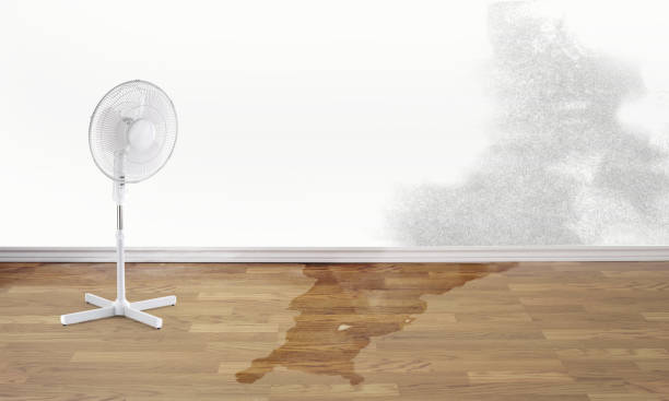 Best 24-hour water damage restoration  in Mante, CA